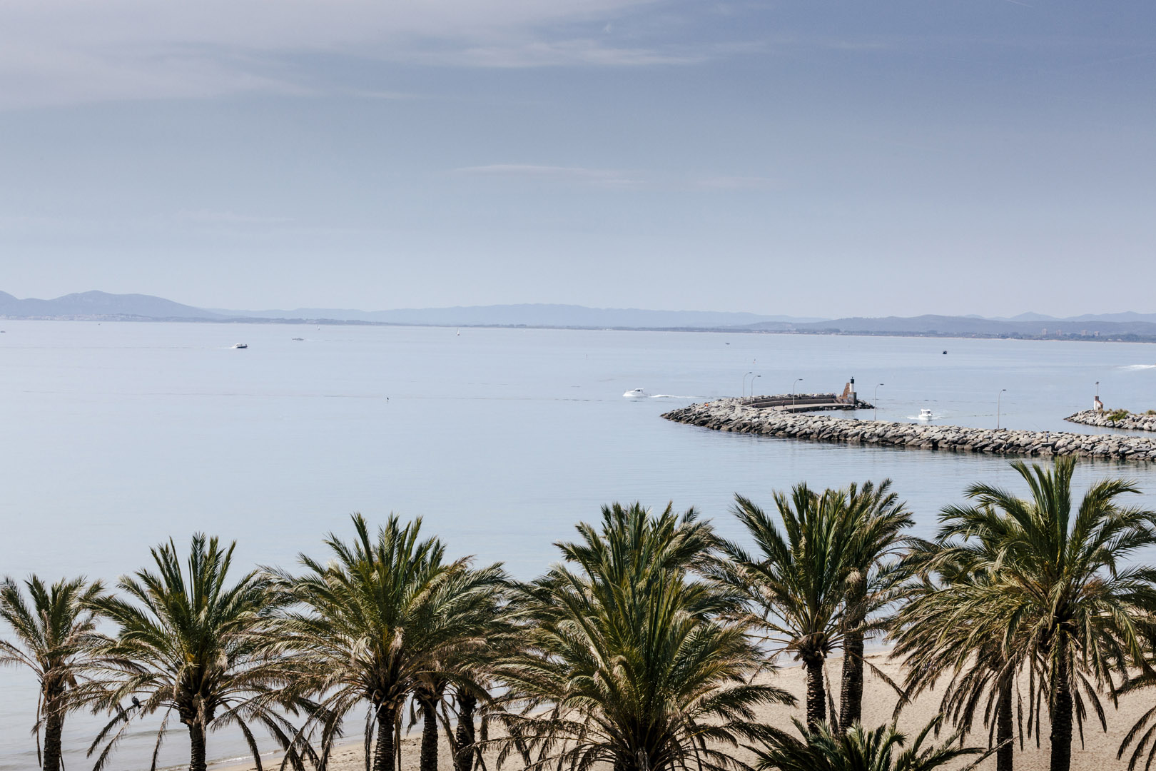 hotel montecarlo imagen 