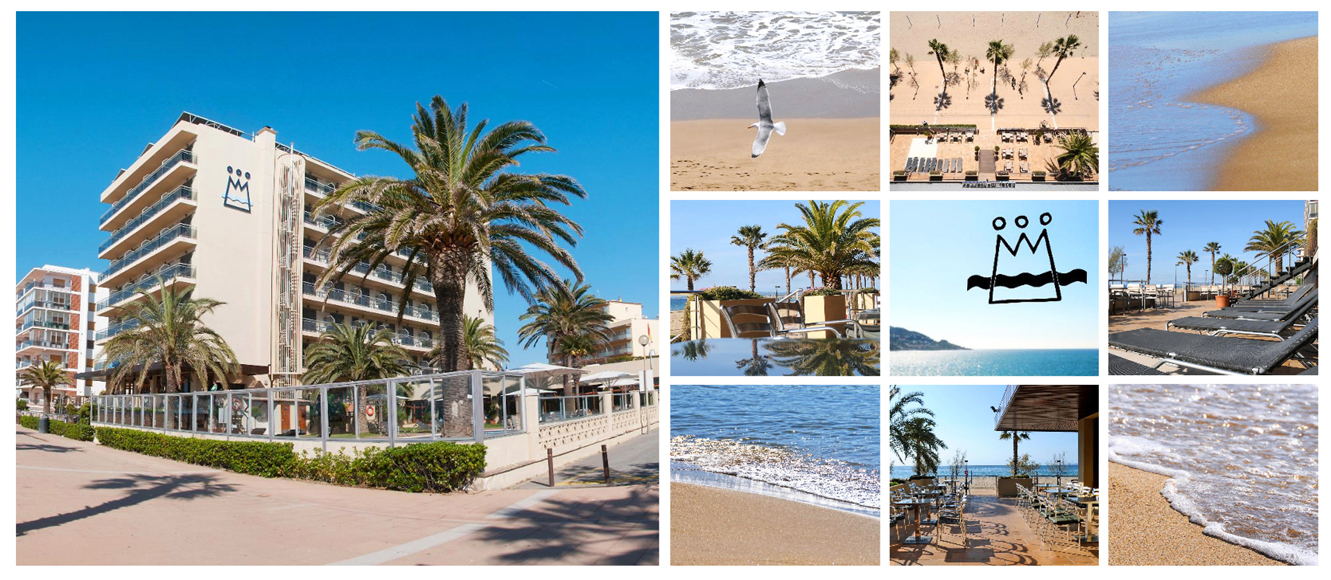 hotel monterrey imagen 